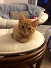 Charles
