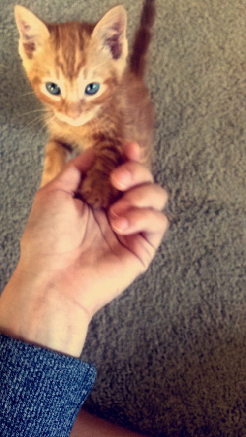 Luca