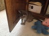 Billy 2