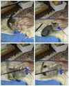 Sherekhan