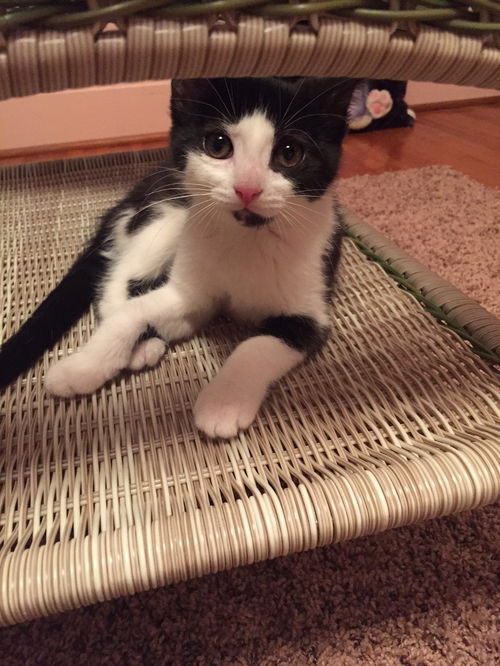 Mimi