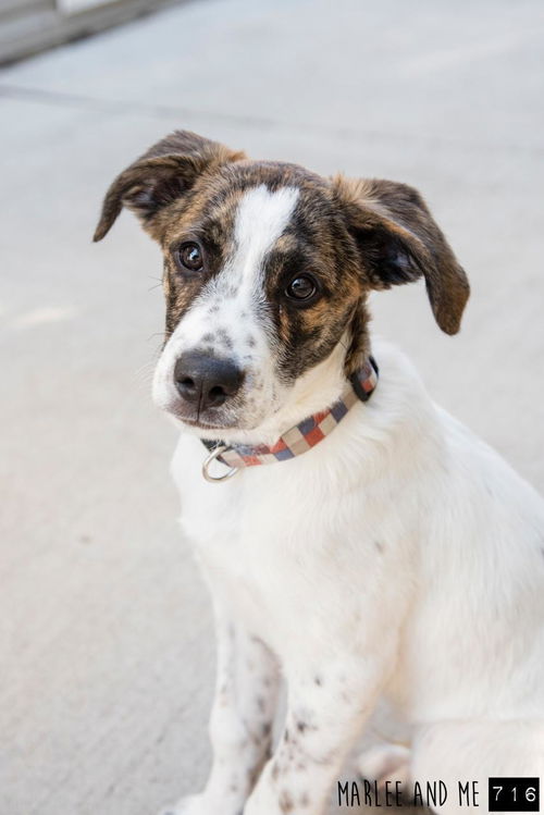 Jack (Kentucky)