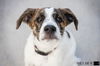 Jack (Kentucky)