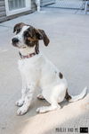 Jack (Kentucky)