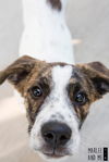 Jack (Kentucky)