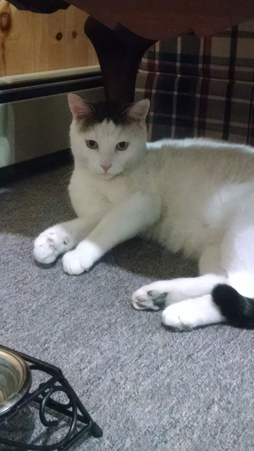 Sid