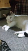 Sid