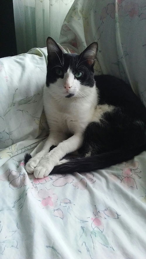 Micah