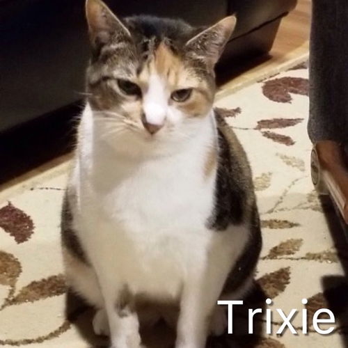 Trixie