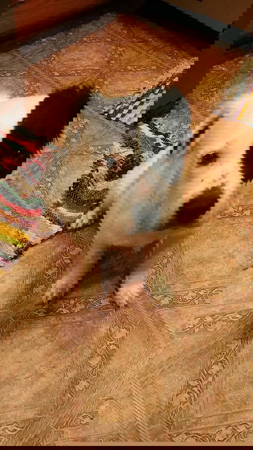 Patches
