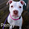 Penny Lane