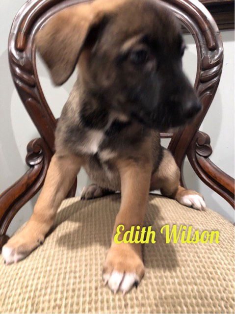 Edith Wilson