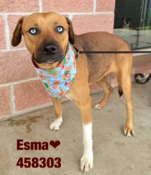 Esma