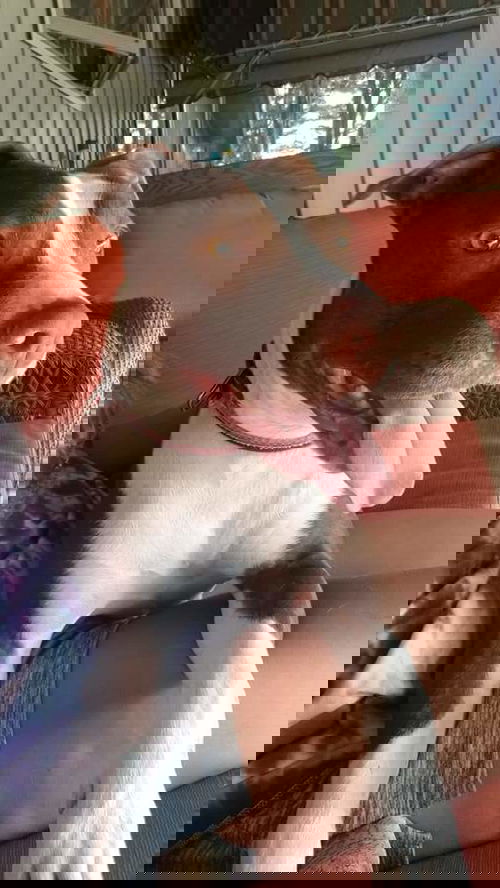 Gengi