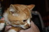 Erik
