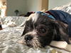 Charlie