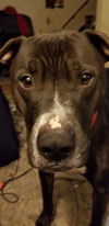 Zeus (HM)