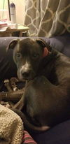 Zeus (HM)