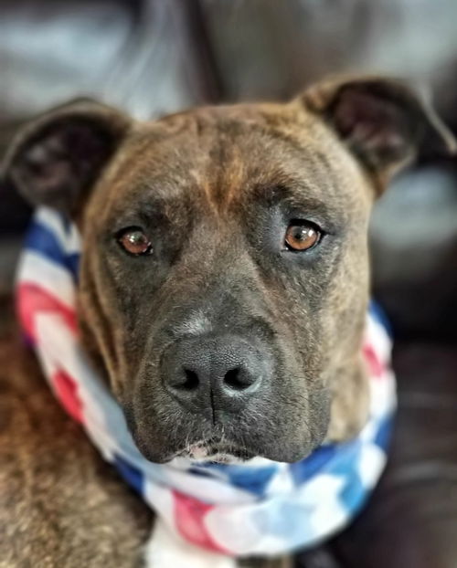 Cooper