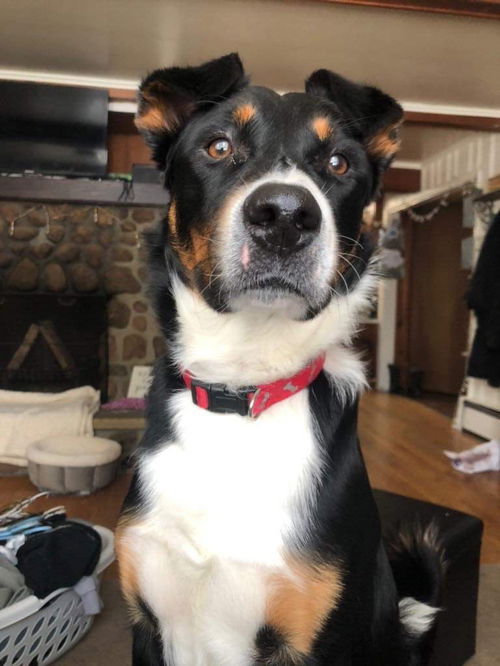 Max