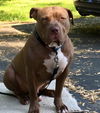 Rusty