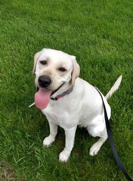 Gwen