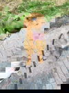 Jake