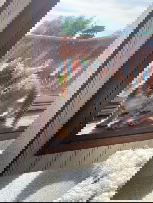Malibu