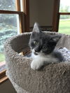 Cinder