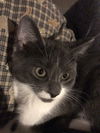 Cinder