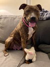 Trudy