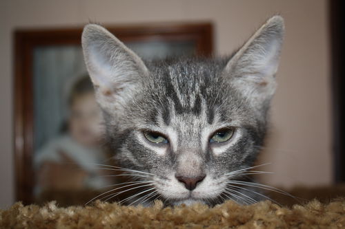 Eliot
