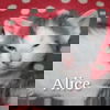 Alice