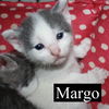 Margo