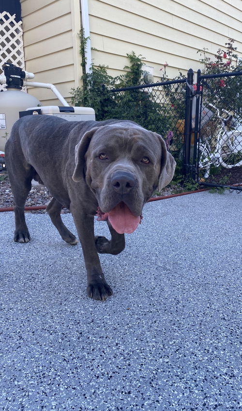 Capone