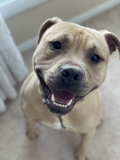 Carlos