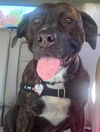 Zoey