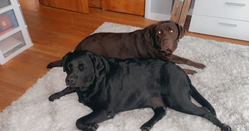 Candy & Lilly