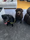 Candy & Lilly