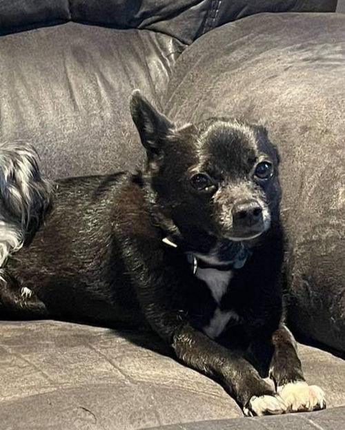 Carlos