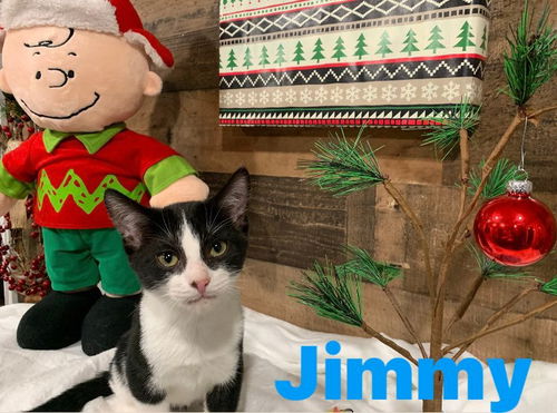 Jimmy