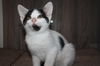 Kit