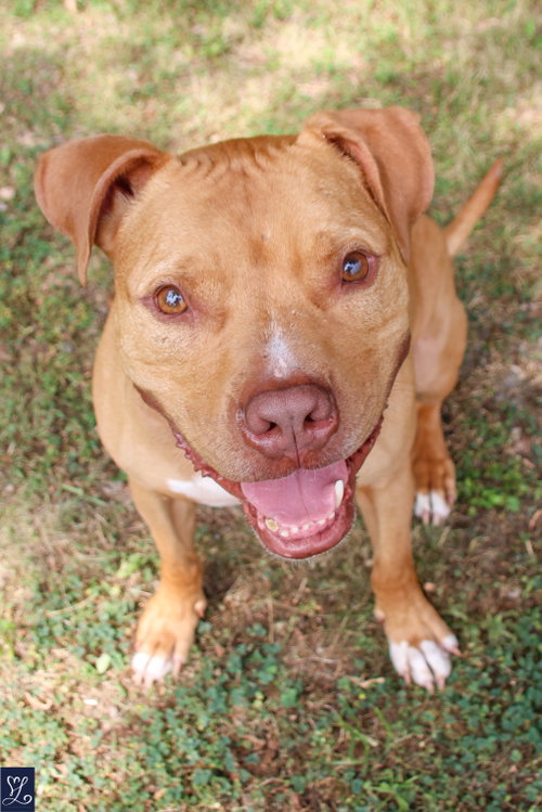 Bruno, photo 3