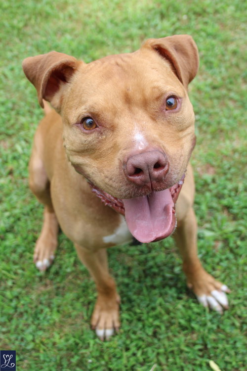 Bruno, photo 5