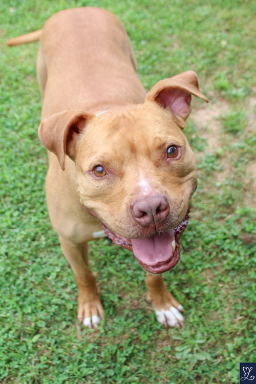 Bruno, photo 9