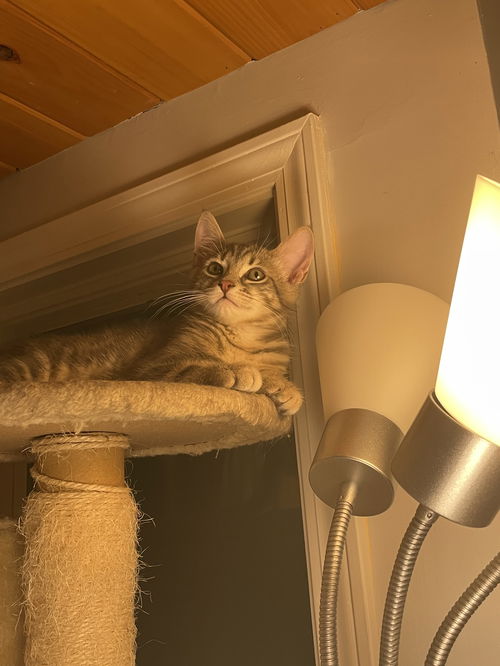Charlie
