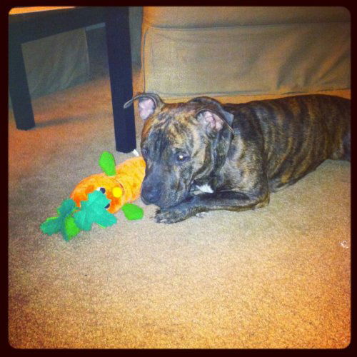 Capone
