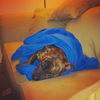 Capone