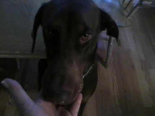 Jake