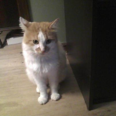 Jasper